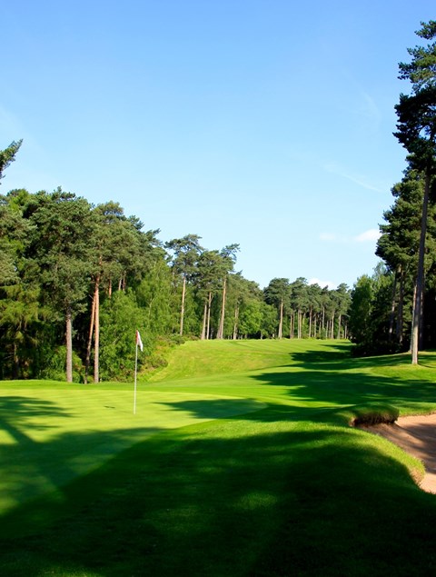 Woburn Course Review - Andrew Murray Golf